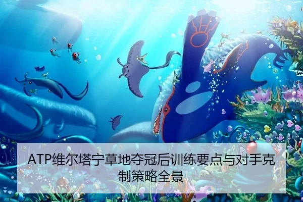 ATP维尔塔宁草地夺冠后训练要点与对手克制策略全景